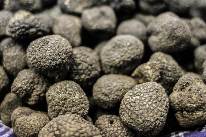 Private Truffle Hunting in Chianti - Practical Tips for Your Truffle Hunting Tour