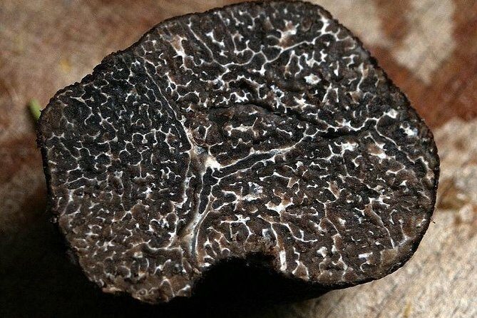 Private Truffle Hunting in Chianti - FAQ