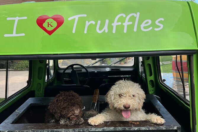Private Truffle Hunting with Cooking Session - What to Expect in Practical Terms
