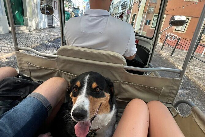 Private Tuk-Tuk Lisbon Tour - Who Will Love This Tour?