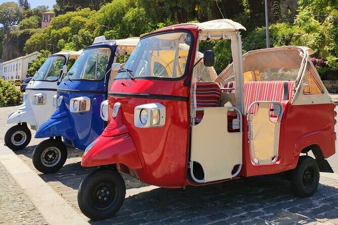 Private Tuk Tuk Tour in Nuns Valley - Private Tuk Tuk Tour in Nuns Valley: A Personal Journey into Madeira’s Natural Beauty