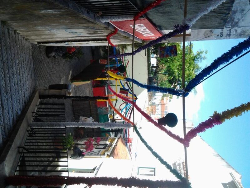 Private Tuk Tuk Tour Lisbon Old Town - Final Thoughts
