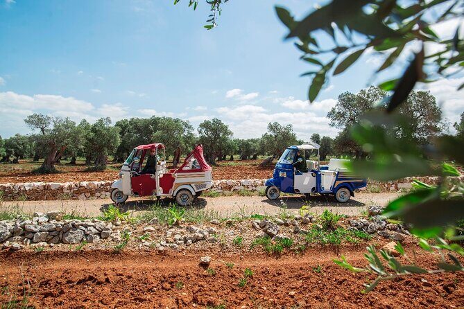 Private Tuk Tuk Tour of the Millenary Olive Groves in Ostuni - An Overview of What to Expect