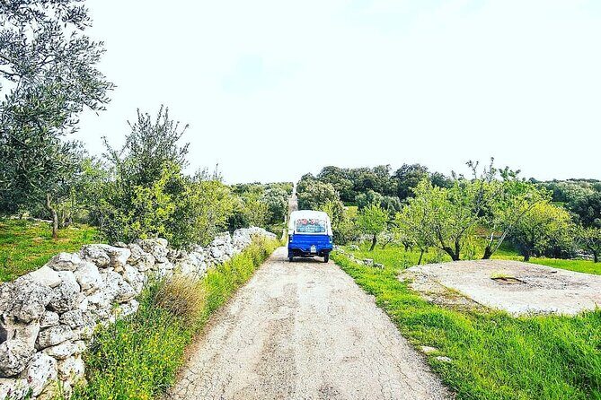 Private Tuk Tuk Tour of the Millenary Olive Groves in Ostuni - A Closer Look at the Itinerary