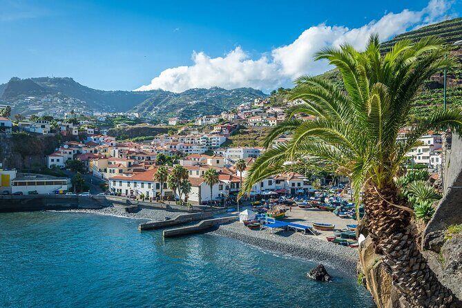 Private Tuk Tuk Tour on Câmara de Lobos, Fishing Village - Who Will Love This Tour?