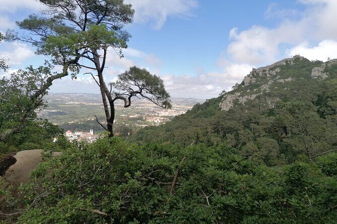 Private Tuk Tuk Tour through Serra de Sintra - FAQ