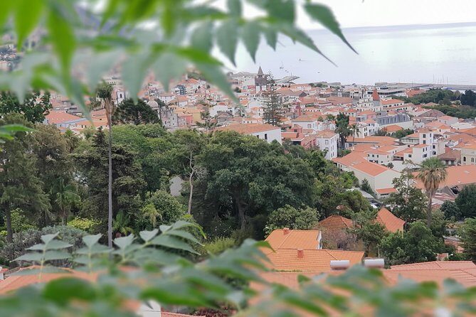 Private Tuk Tuk Tour to Old Town + Monte in Funchal - In-Depth Review of the Private Tuk Tuk Tour to Old Town and Monte