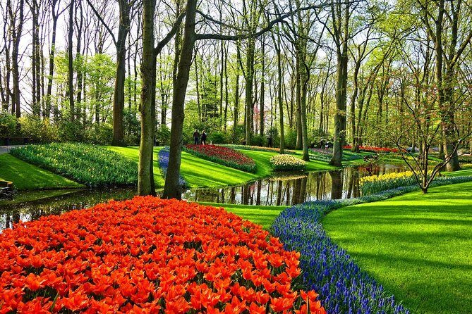 Private Tulip Fields, Windmills and Cheese Tour from Amsterdam - Exploring the Dutch Highlights in Style and Comfort