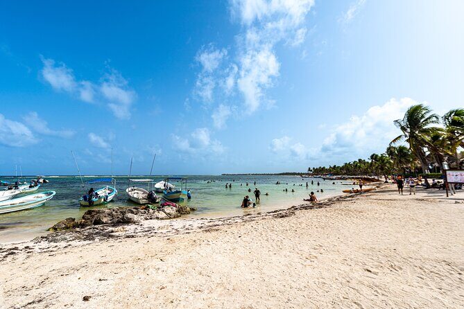 Private Tulum Akumal Cenotes Experience - Who Will Love This Tour?