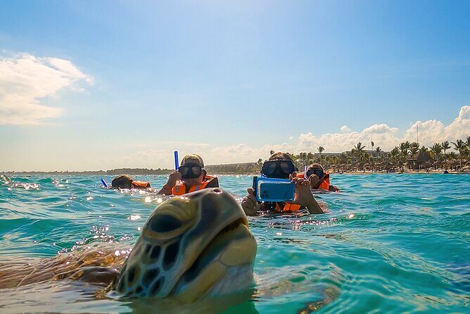 Private Tulum Akumal Cenotes Experience - The Sum Up