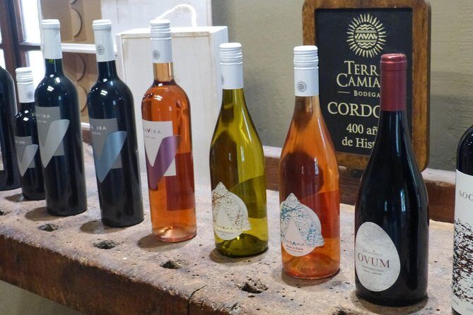 PRIVATE TUR: Caroya WineTour HalfDay - Key Points