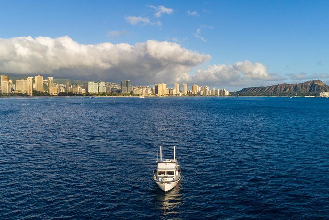 Private Turtle Canyon Snorkel Tour - Up to 6 Passengers - The Experience in Detail