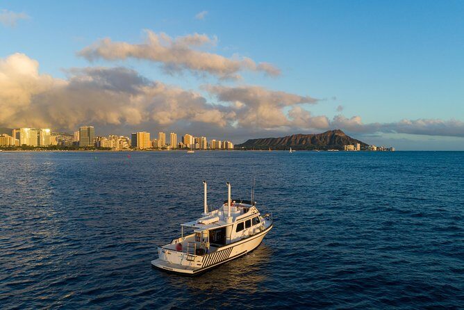 Private Turtle Canyon Snorkel Tour - Up to 6 Passengers - Who Would Enjoy This Tour?