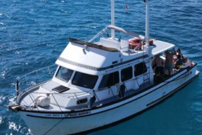 Private Turtle Canyon Snorkel Tour - Up to 6 Passengers - FAQ