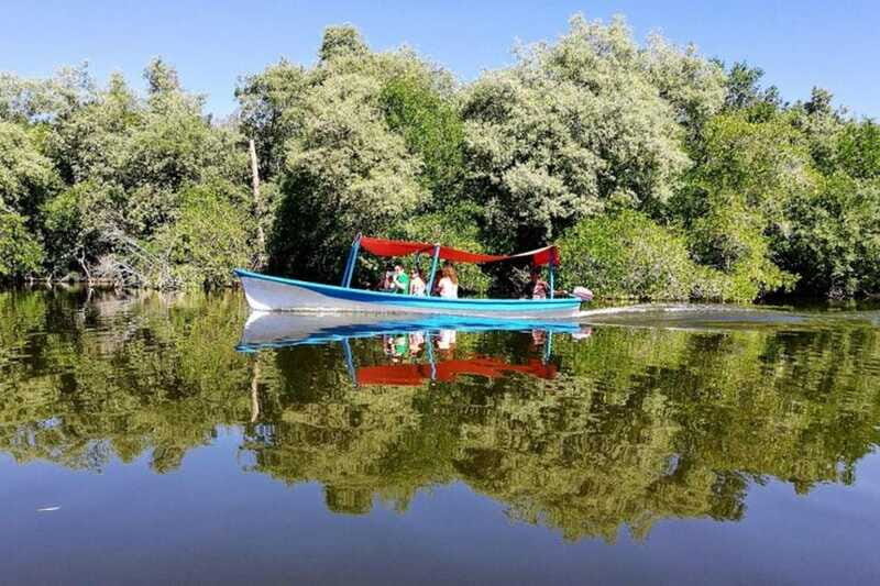 -Private Turtle Release Lagoon Boat Ride &High Divers Exprce - FAQ