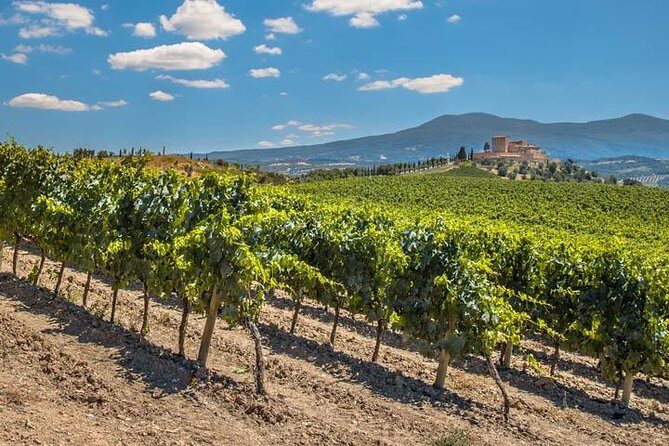 Private: Tuscany Day Tour from Rome with Optional Wine Tasting - Practical Considerations and Tips