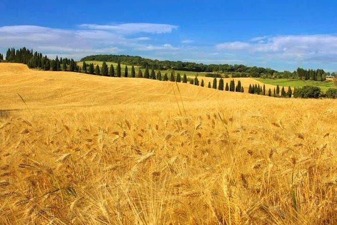 Private: Tuscany Day Tour from Rome with Optional Wine Tasting - Final Thoughts