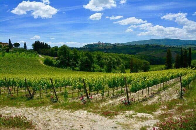 Private Tuscany Day Tour: San Gimignano and Chianti Wine Region from Florence - Exploring the Heart of Tuscany: San Gimignano & Chianti