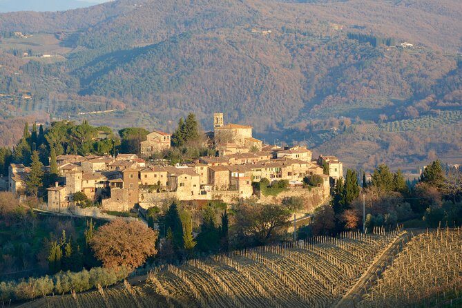 Private Tuscany Excursion. Florence American Cemetery, Greve in Chianti, Winery - An In-Depth Look at the Tuscany Private Excursion