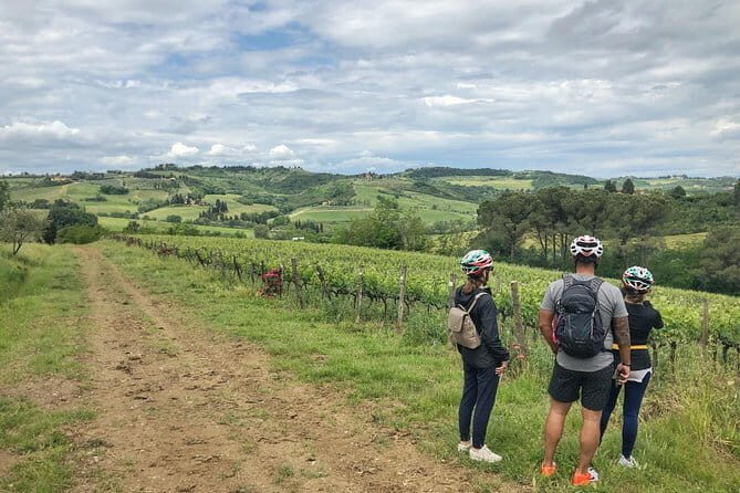 Private Tuscany Sunset Bike Tour - A Closer Look at the Tuscany Sunset Bike Tour