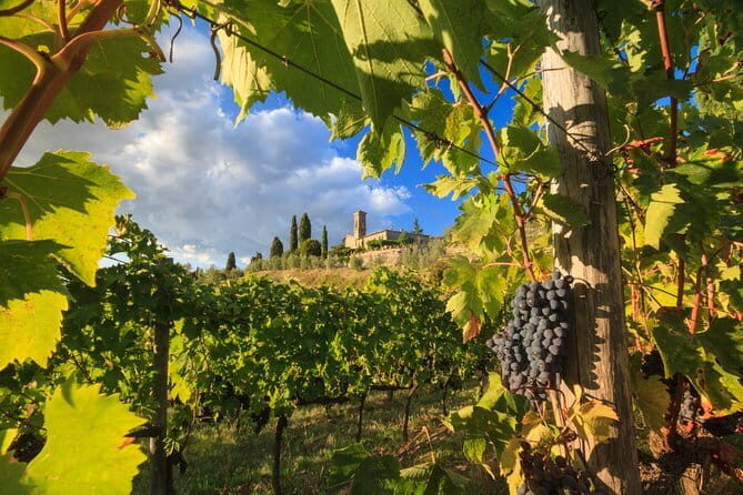 Private Tuscany Tour from Florence Including Siena, San Gimignano and Chianti Wine Region - A Perfect Day in Tuscany: Siena, San Gimignano, and Chianti