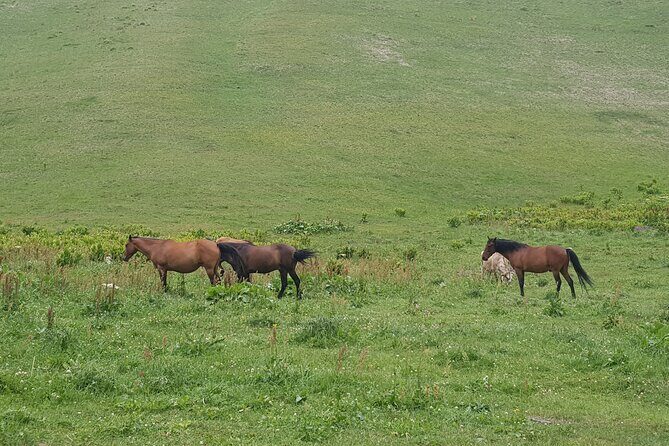 Private two days (one night) tour to Kazbegi and Juta with hikes - via Mtskheta. - An Adventurous Two-Day Journey to Kazbegi and Juta from Tbilisi