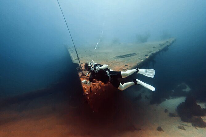 Private Two-Tank Shore Dive for Solo Cruise Travelers in Bonaire - Who Should Book This Tour?