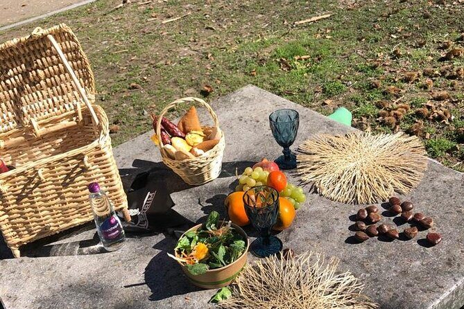 Private Typical Portuguese Picnic in Serra de Monchique - Who Will Love This Experience?