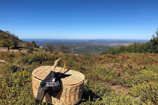 Private Typical Portuguese Picnic in Serra de Monchique - Final Thoughts