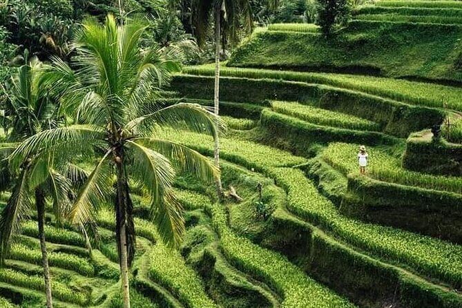 Private Ubud Tour - FAQ