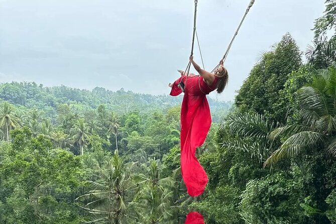 Private ubud tour : Temple Bathing + Mount Batur + Rice Terrace. - A Closer Look at This Ubud Adventure