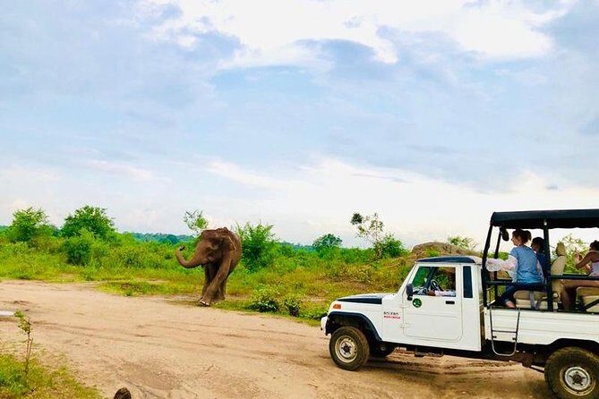 Private Udawalawe Nationalpark Jeep-Safari - Exploring the Itinerary in Detail