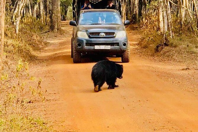 Private Udawalawe Nationalpark Jeep-Safari - Who Should Consider This Tour?