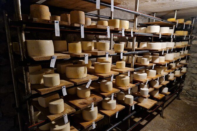 Private Ultimate Foodie Kakheti Experience with wine and cheese - Practical Details & Experience Insights