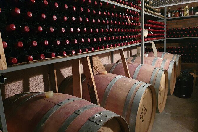 Private Ultimate Foodie Kakheti Experience with wine and cheese - The Sum Up