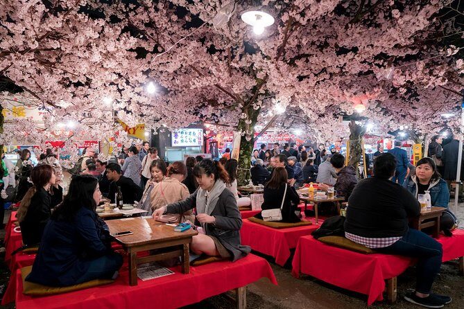 Private & Unique Kyoto Cherry Blossom "Sakura" Experience - FAQs