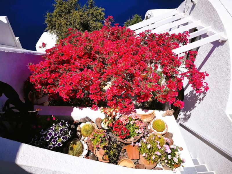 Private Unseen Authentic Santorini Half Day Shore Excursion - Who Would Enjoy This Tour?