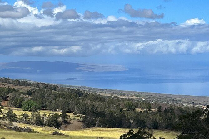 Private Upcountry Farm Tour on Maui - Exploring the Details of the Maui Upcountry Farm Tour