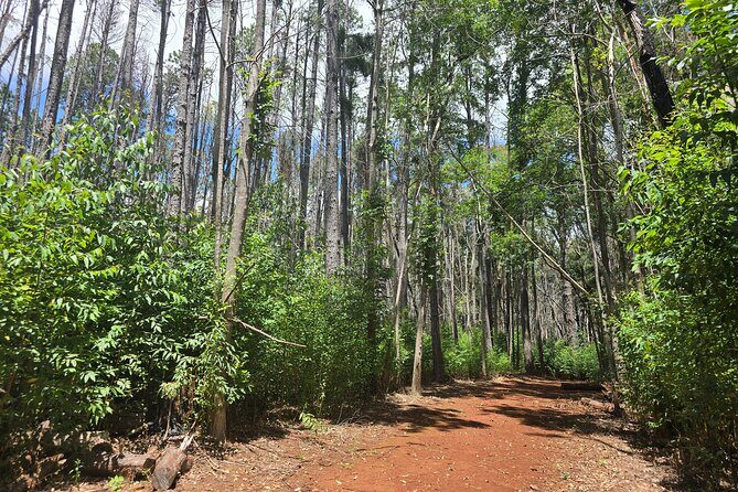 Private Upcountry Hiking Tour - Key Points