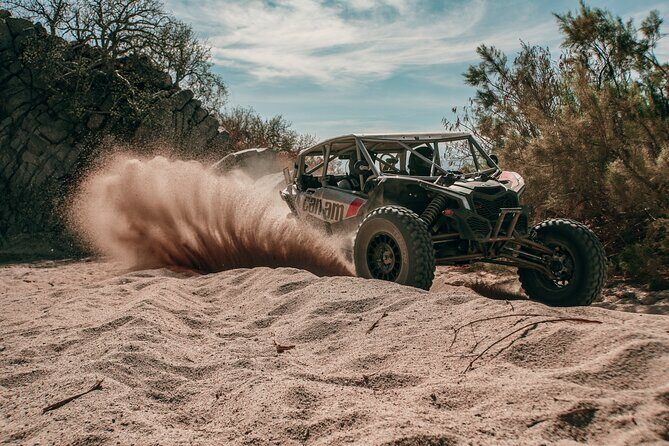 Private UTV Off Road Experience in Cabo - Exploring Baja with a Private UTV Off-Road Experience in Cabo