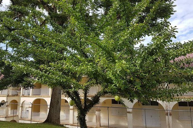 Private (UVF) Hewanorra International Airport Round Trip Transfers - FAQ