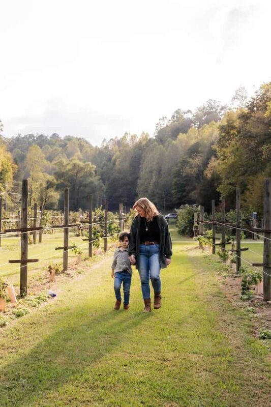 Private Vacation Photoshoot with Photographer in Honolulu - Who Will Love This Experience