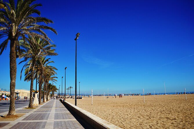 Private Valencia Beach Segway Tour - A Deep Dive into the Valencia Beach Segway Tour