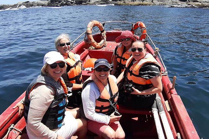 Private Valparaiso, Nautic Visit Penguins Island & Horse Riding - Frequently Asked Questions