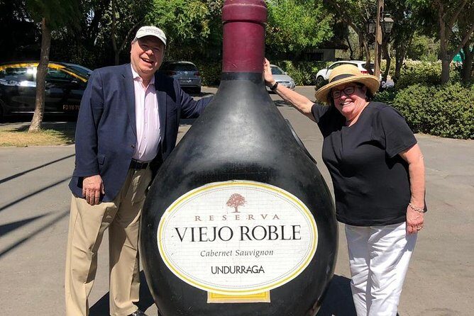 Private Valparaiso Port Pre-Post Cruise Santiago City Tour and Undurraga Winery - An In-Depth Look at This Santiago & Vineyard Tour