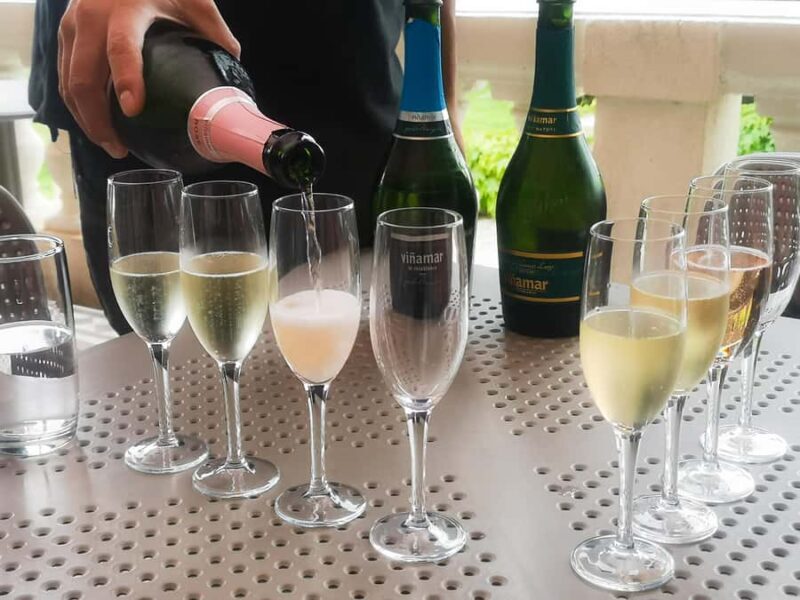 Private Valparaíso, Viña del Mar, Boat Ride & Sparkling Wine - Key Points