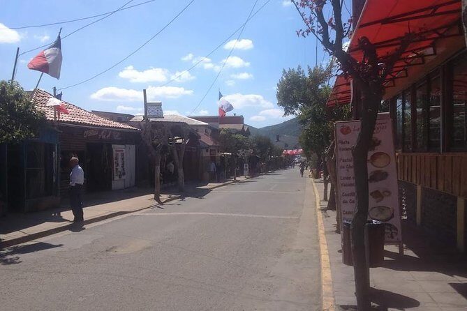 Private Valparaíso & Viña del Mar Day Trip with Boutique Winery - The Coastal Charm of Viña del Mar