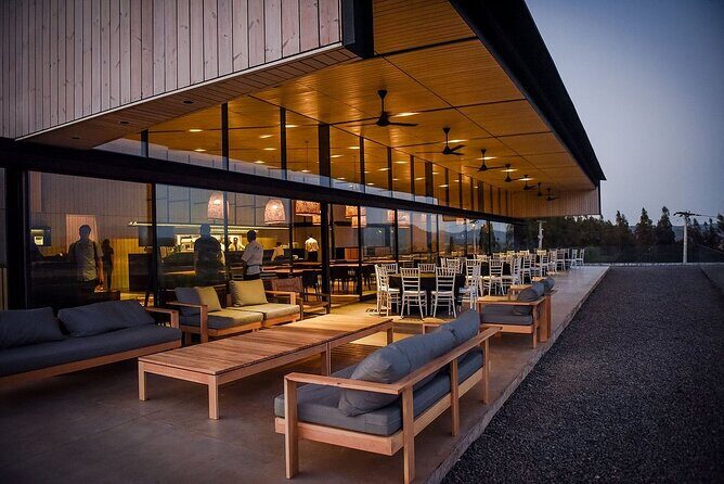 Private Valparaiso, Visit Kingston Winery & Transfer to Hotel - An Authentic Chilean Wine Experience: Private Valparaiso, Visit Kingston Winery & Transfer to Hotel