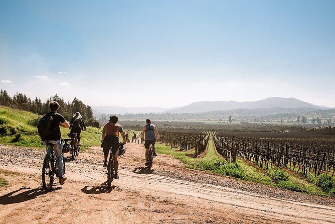 Private Valparaiso, Visit Kingston Winery & Transfer to Hotel - FAQ