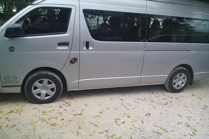 Private Van Ocho Rios Custom Sightseeing Tours - Discovering Ocho Rios with a Private Customizable Tour